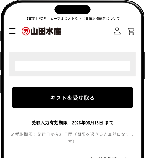 eギフトキャプチャ画像